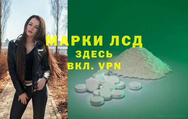 ешки Аркадак