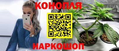 СК Пушкино